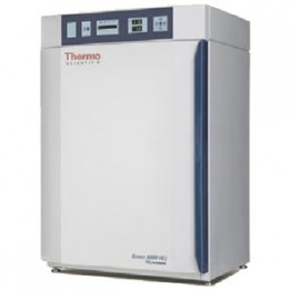 Инкубатор-CO2 8000 WJ 3425 Thermo Fisher Scientific