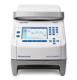 Mastercycler nexus gradient Амплификатор Eppendorf
