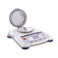 Портативные весы Scout SJX OHAUS