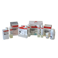 RPR-Carbon 500 тестов BioSystems