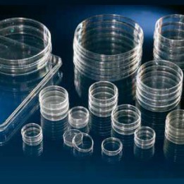 Чашка с поверхностью Nunclon 35 мл 120шт. Thermo Scientific Nunc