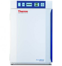 8000 WD 3541 CO2-Инкубатор Thermo Fisher Scientific